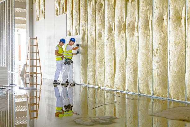 Best Energy Efficiency Insulation in Verandah, FL